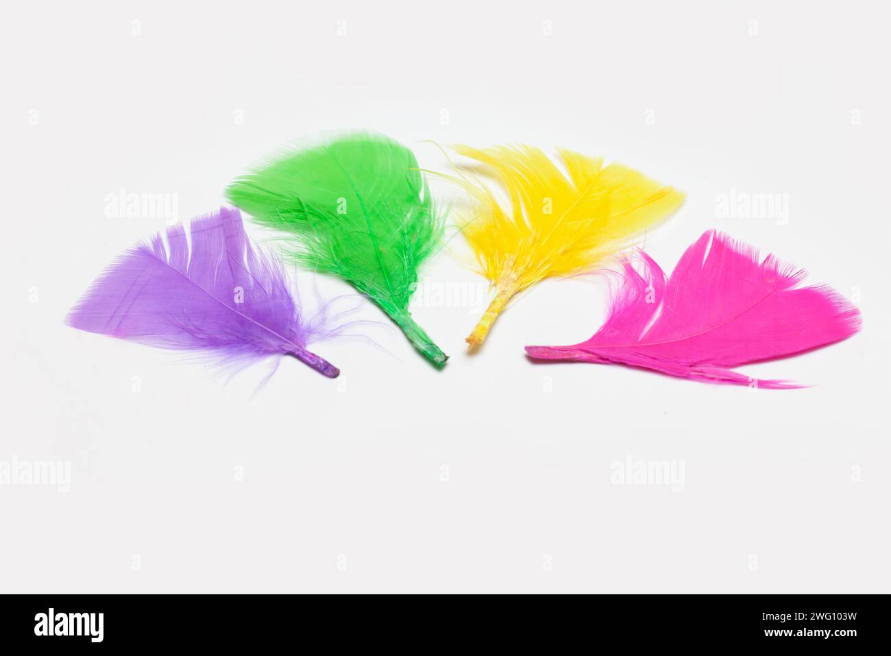 colorful feathers isolated on white background Stock Photo