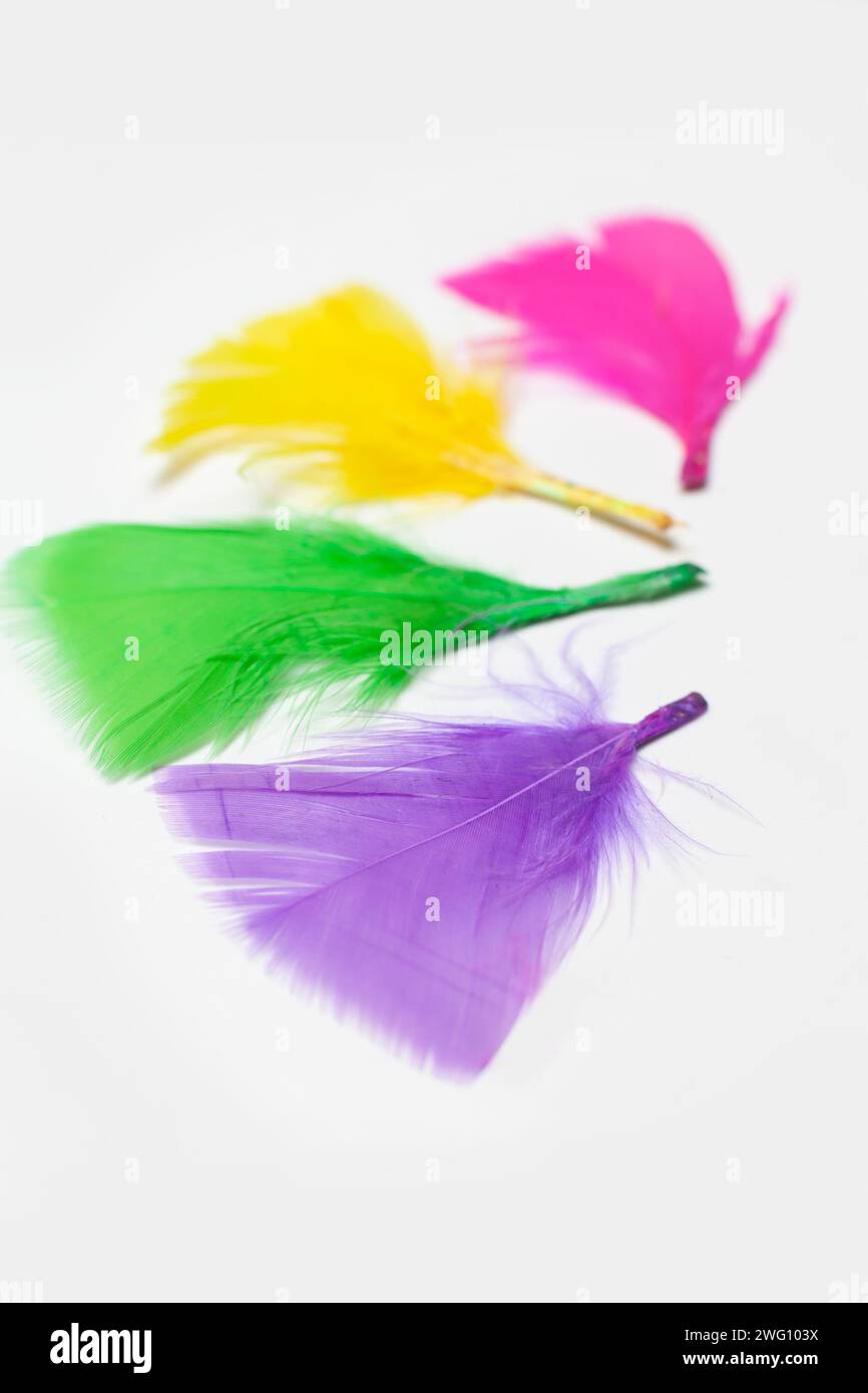 feathers isolated on white background Stock Photo
