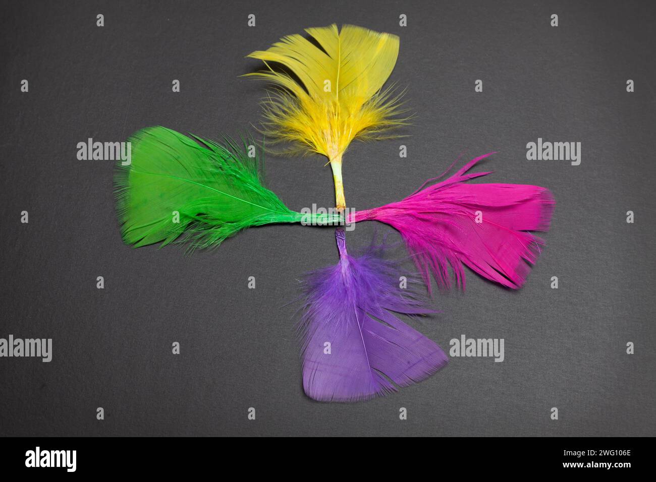 Black feathers background hi-res stock photography and images - Alamy