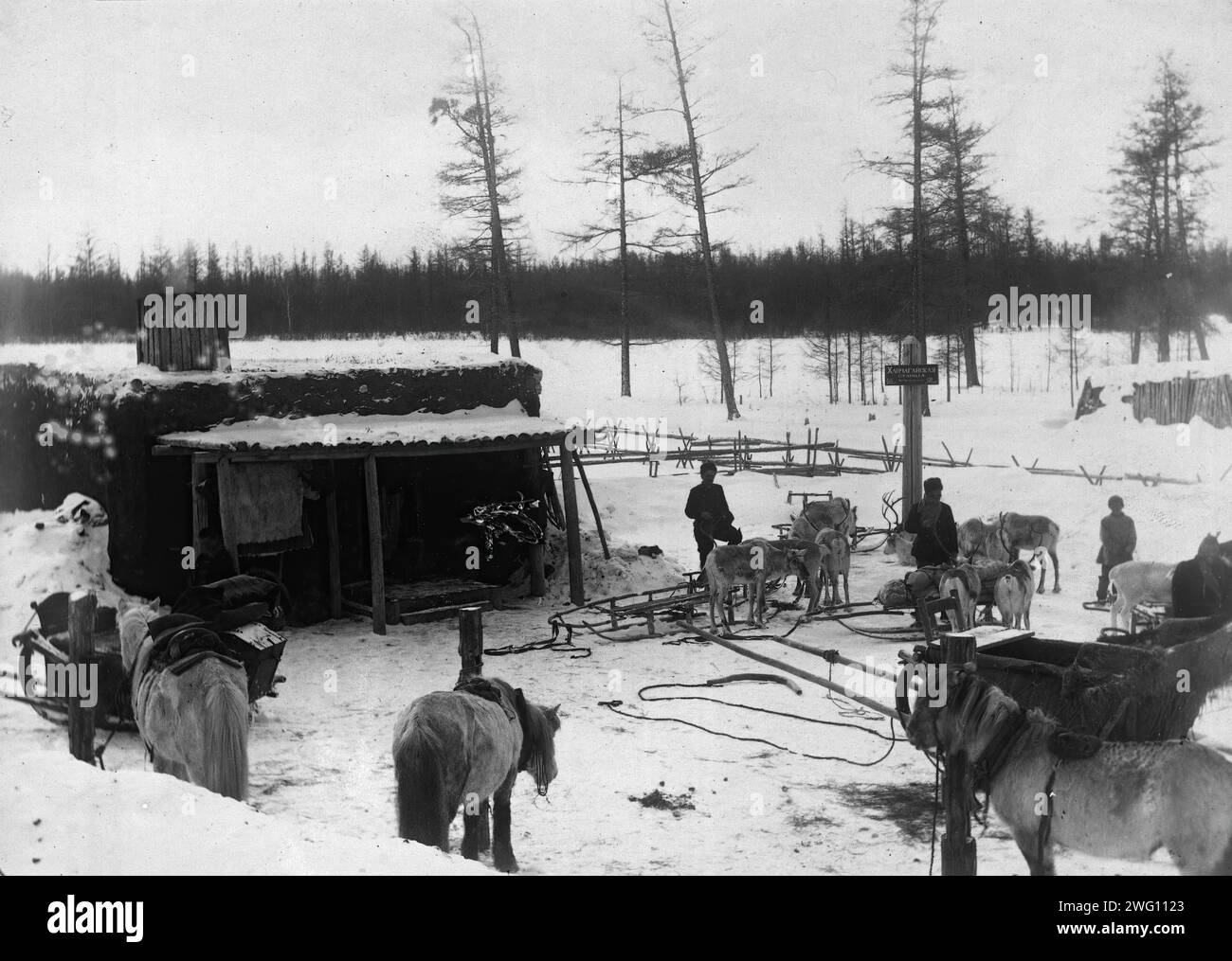 Russian sleighs hires stock photography and images Alamy