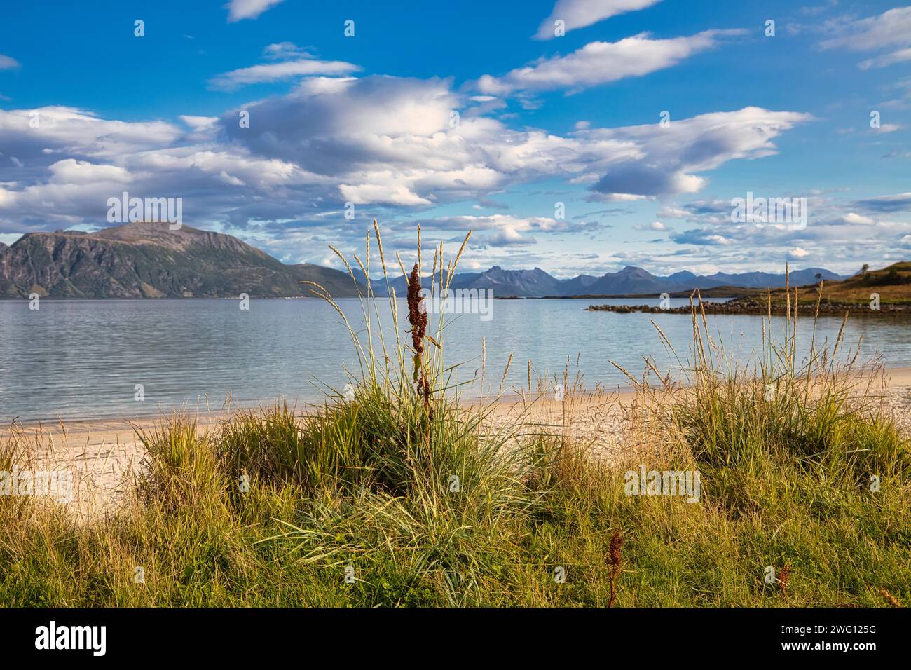 Small sandy beach on the island of Giloy, Vesteralen, Norway Stock Photo