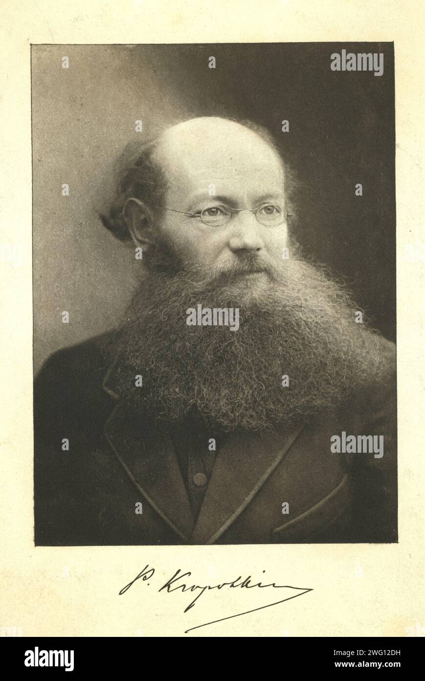 Petr Kropotkin, head-and-shoulders portrait, facing right, between 1890 and 1920. Stock Photo