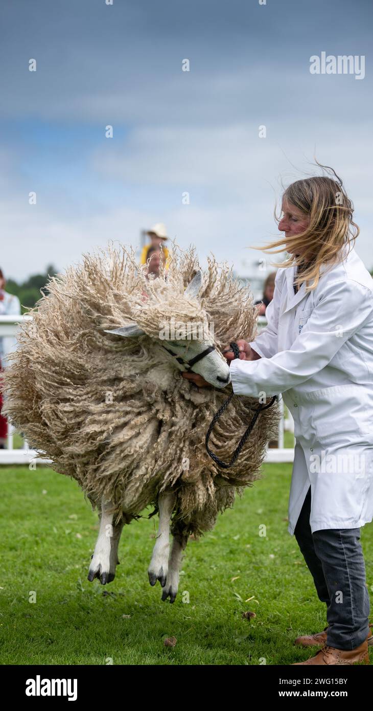 Shepherdess holding hi-res stock photography and images - Alamy