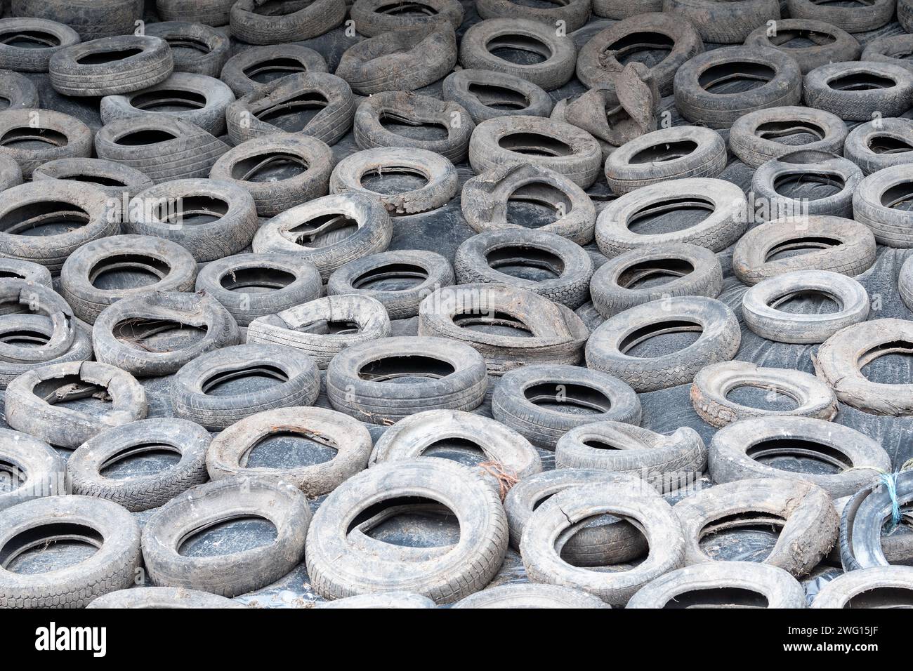Silage clamp dairy farm hi-res stock photography and images - Alamy