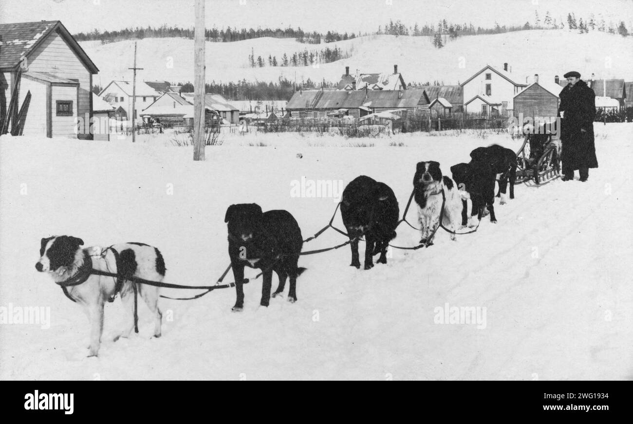 Dog sled team sled dogs Black and White Stock Photos & Images - Alamy