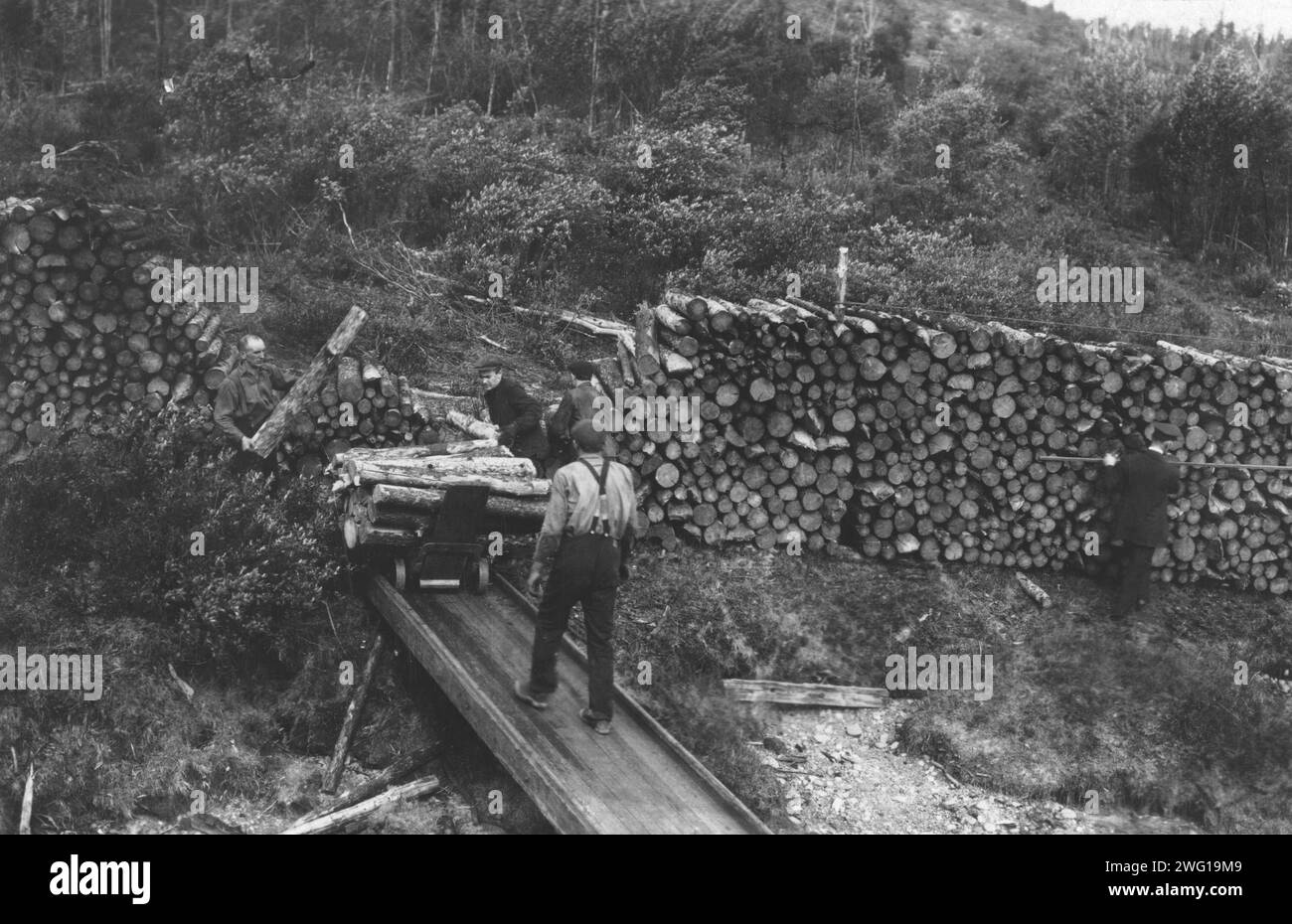 Wood chopper's station with fuel for steamers on the Upper Yukon, between c1900 and c1930. Stock Photo