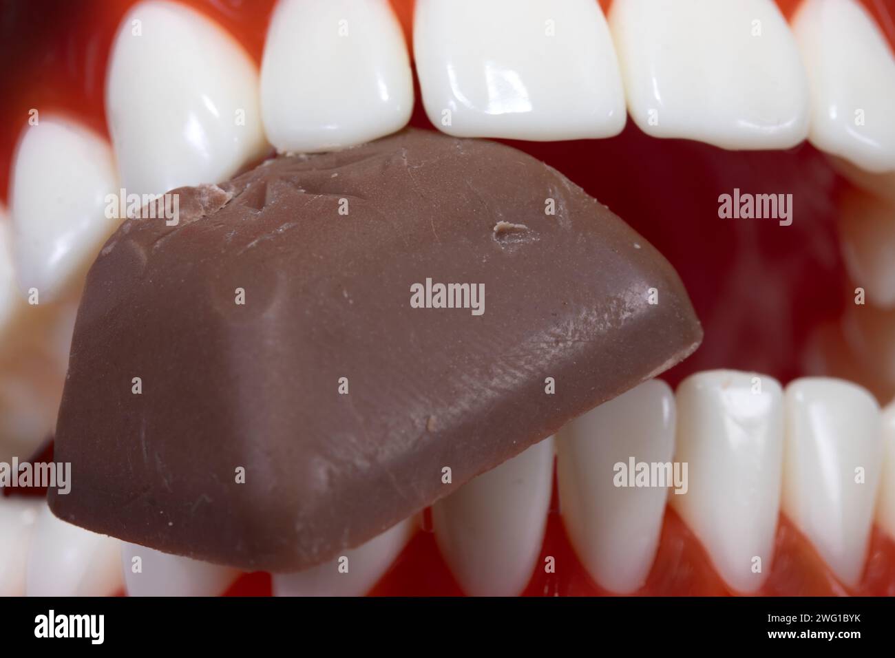 A chocolate candy between teeth, close up Stock Photo