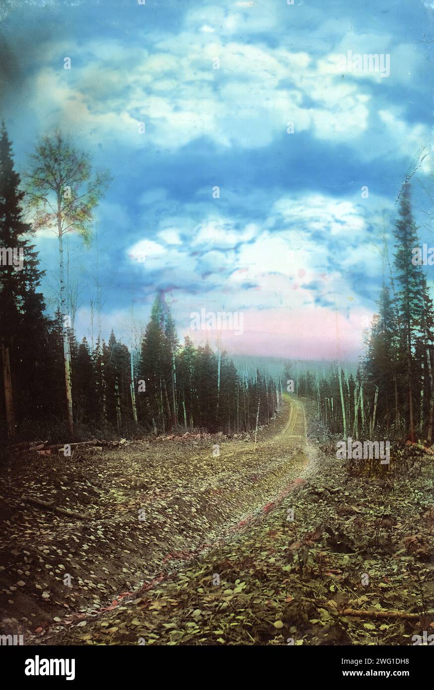 The Roadbed After Planning Petropavlovsk Branch 1906 1908 the-roadbed-after-planning-petropavlovsk-branch-1906-1908