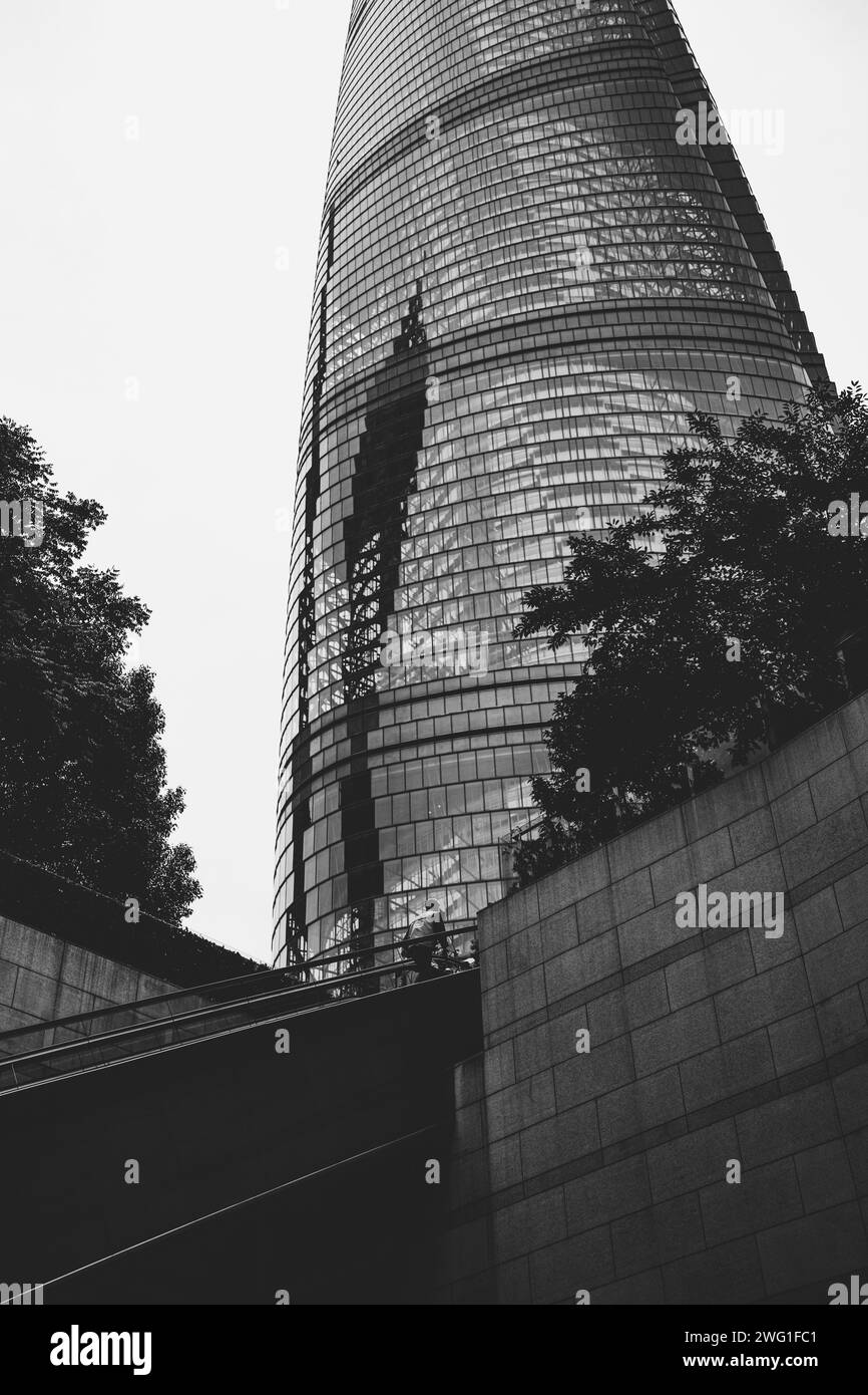 twisted skyscraper with leaves in Shanghai, China (Shanghai Tower) Stock Photo