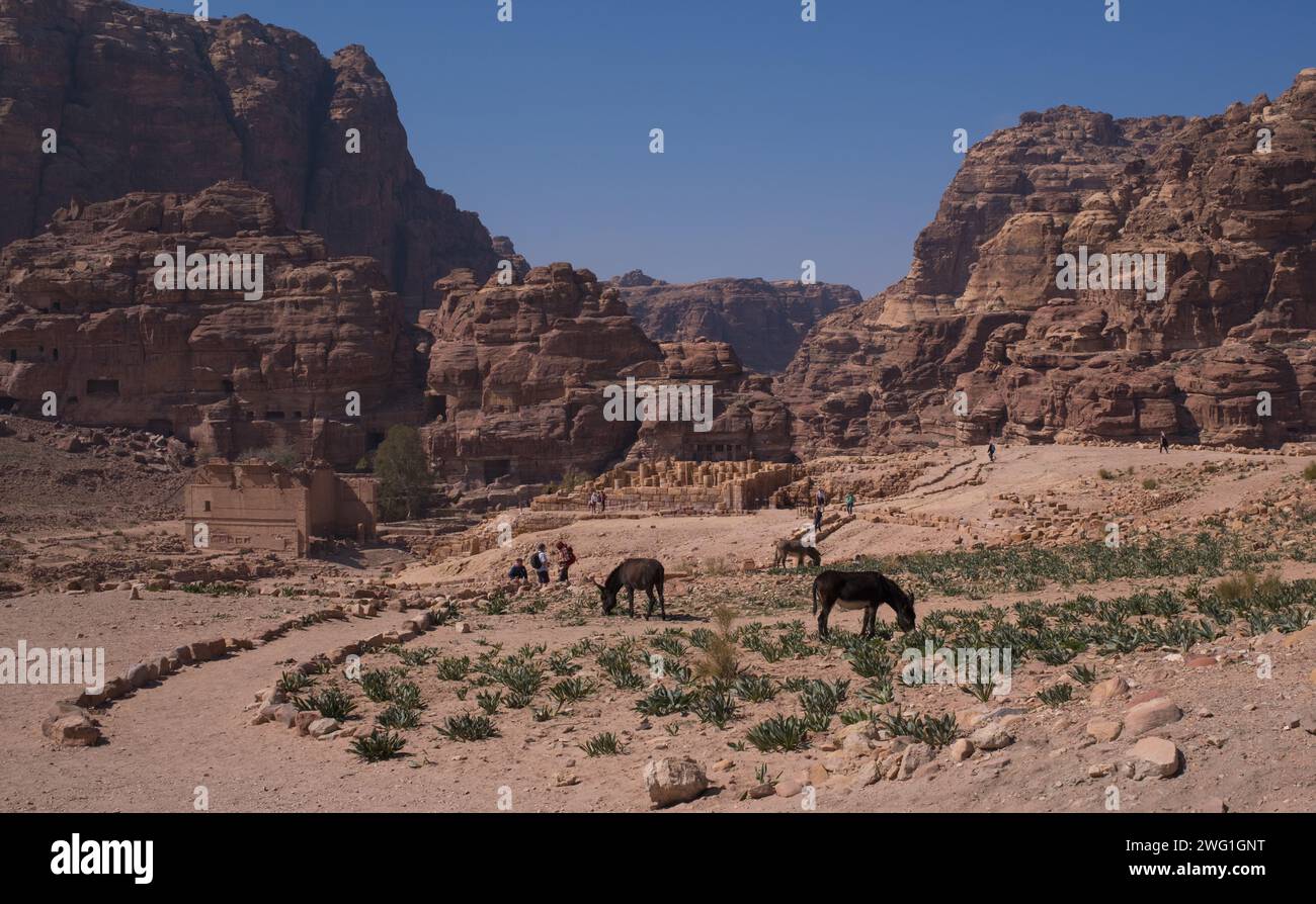 Archaeological site of petra hi-res stock photography and images - Alamy