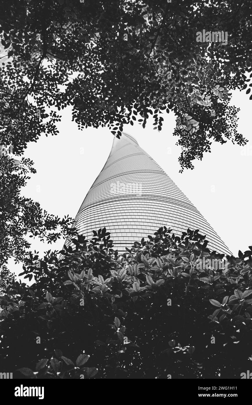 twisted skyscraper with leaves in Shanghai, China (Shanghai Tower) Stock Photo