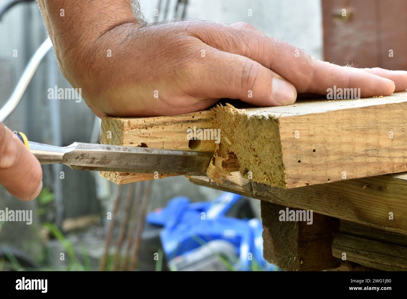 A close-up of the carpenter's hands, who removes excess pieces from the ...