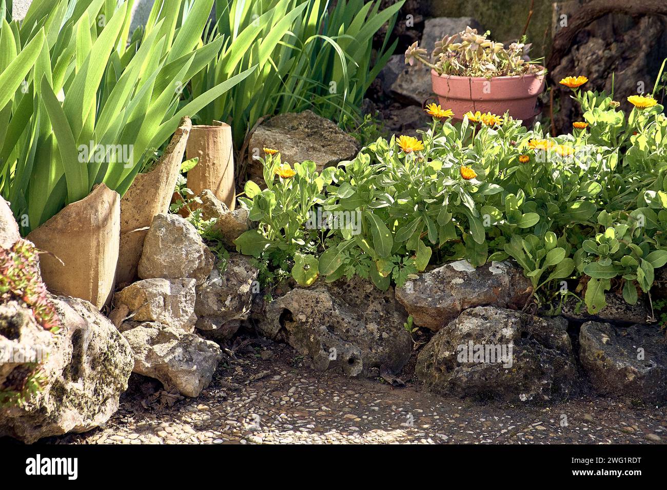 Stone planter in patio of town house. Planter detail plan. Stock Photo