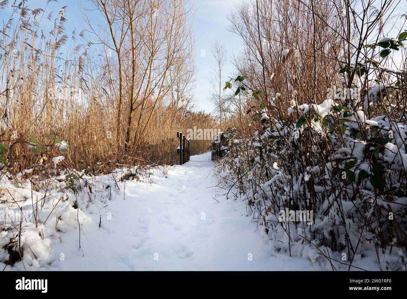 Biodiversity Haff Reimech, wetland and nature reserve in Luxembourg ...