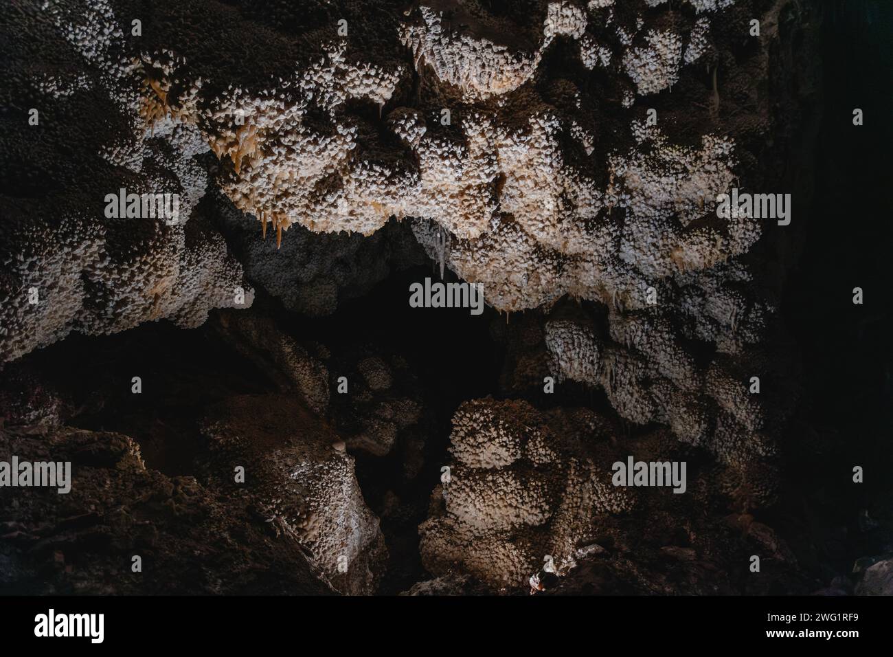 Unique calcite formations in Jewel Cave National Monument called 'nailhead spar' that cover the cave in a jewel-like texture Stock Photo