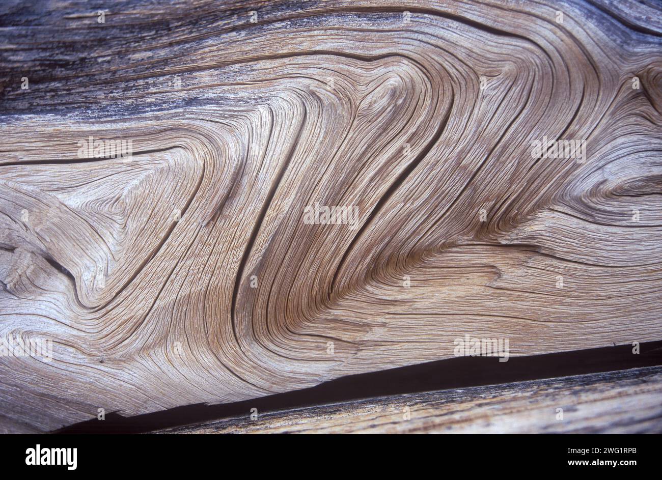 Patterns in wood hi-res stock photography and images - Alamy