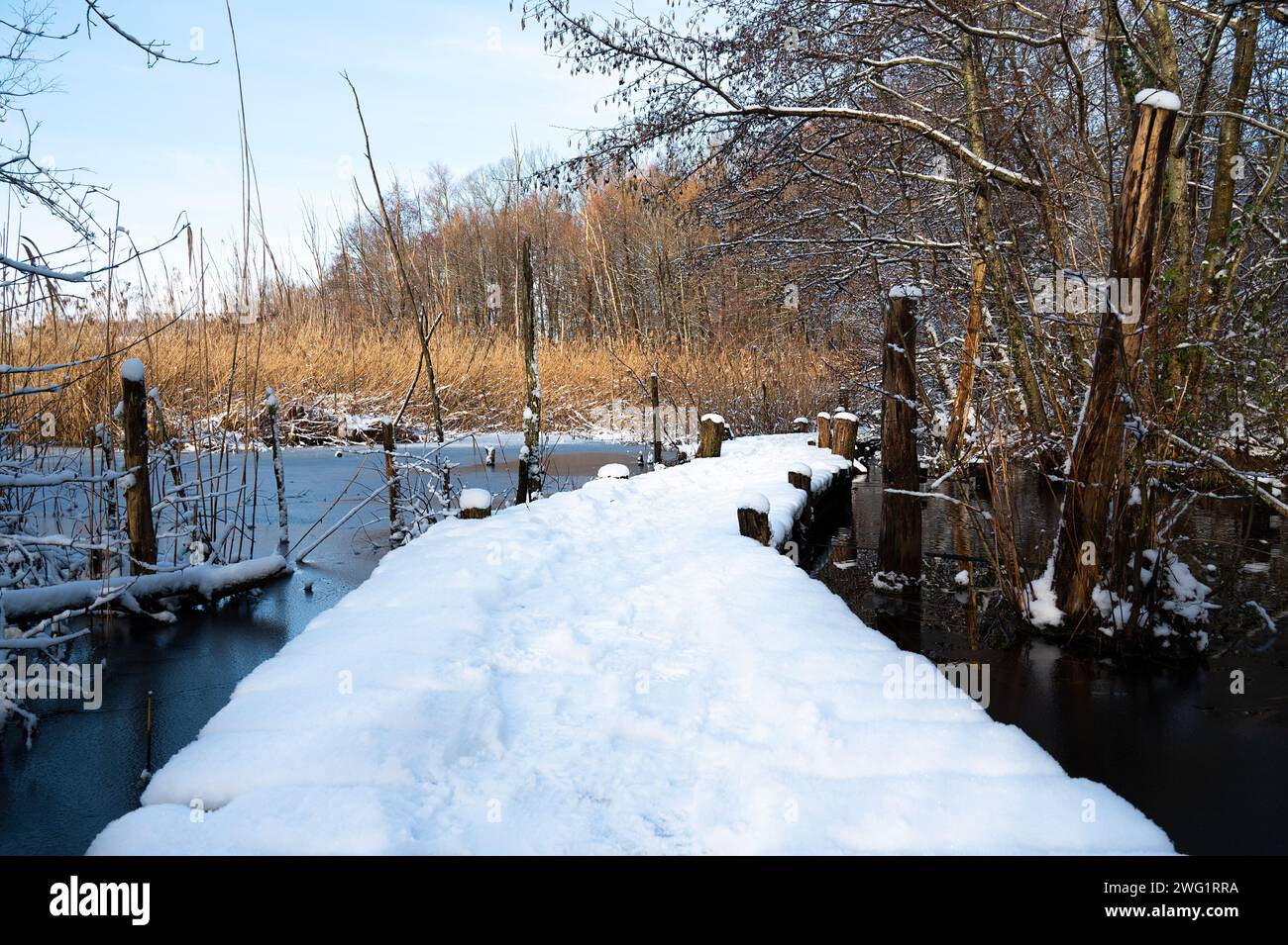 Biodiversity Haff Reimech, wetland and nature reserve in Luxembourg ...