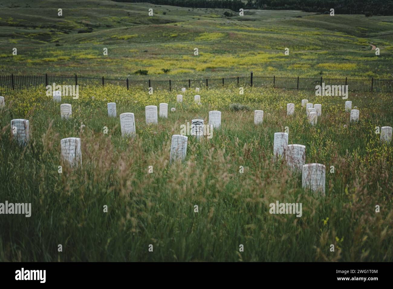 Tombstones marking the graves of fallen US soldiers at the Battle of