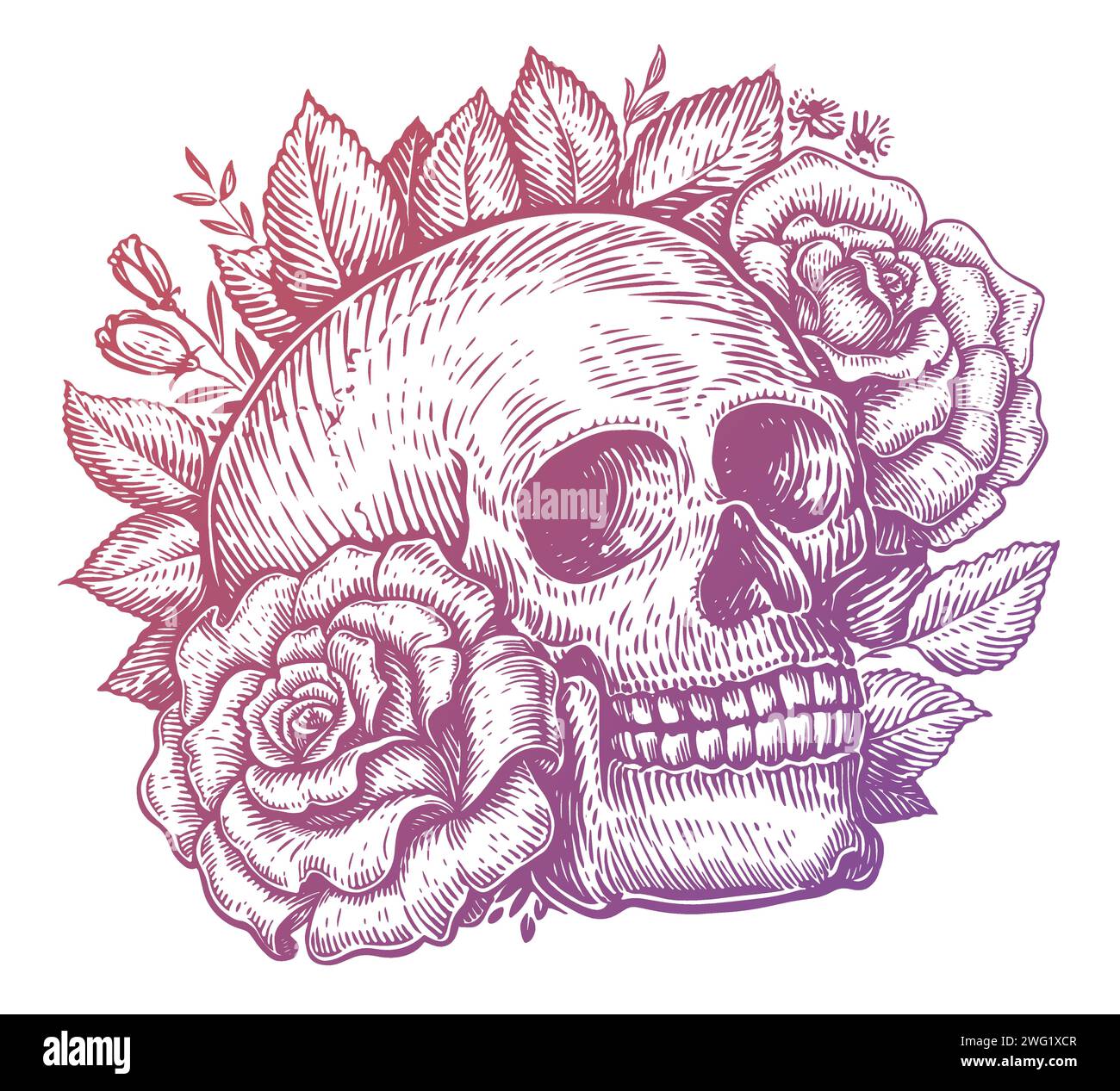 Human skull and roses with leaves and plants. Hand drawn sketch vintage vector illustration Stock Vector