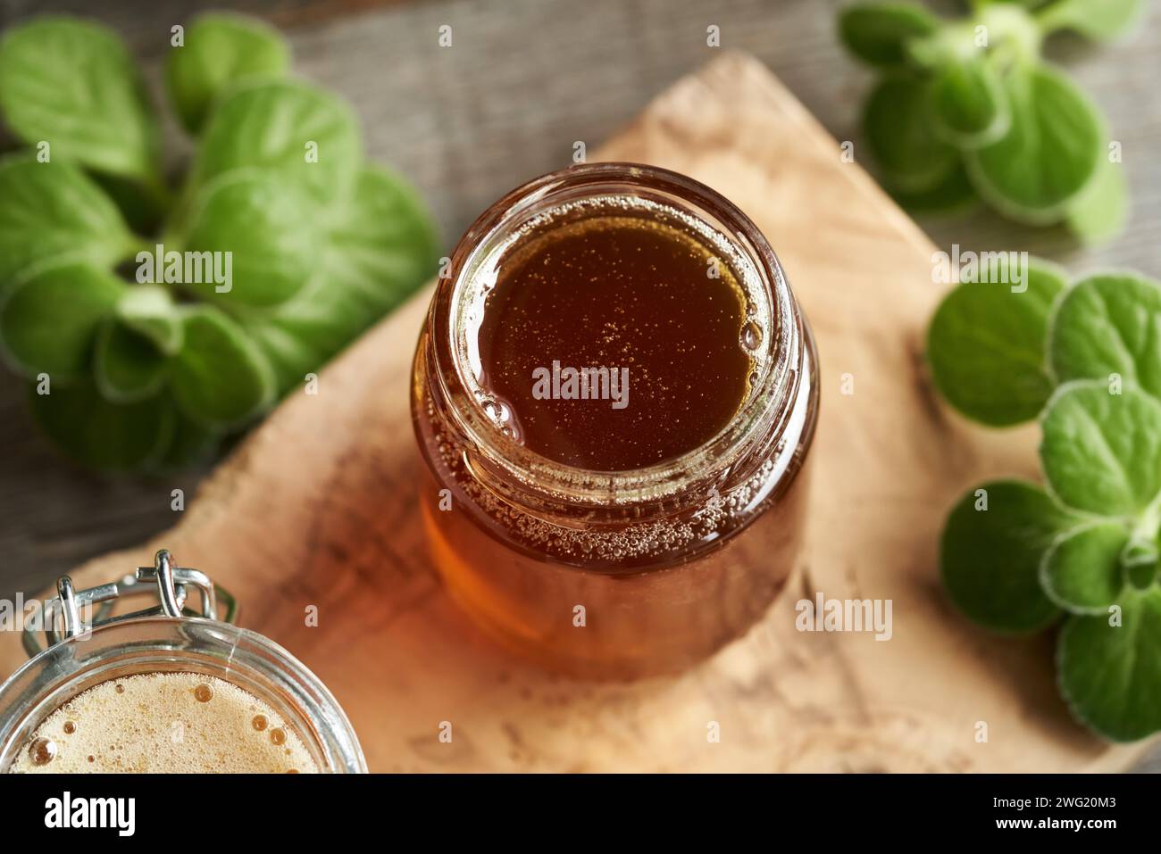 A jar of homemade Plectranthus amboinicus syrup for common cold Stock Photo