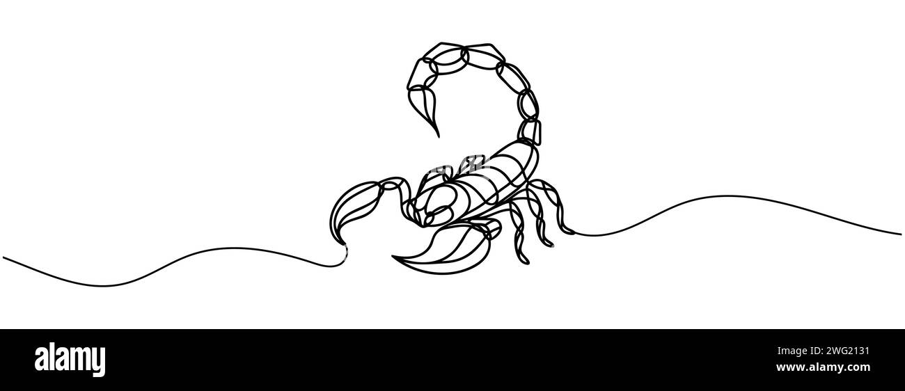 Scorpion Vector Line scorpion one line drawing, sketch, isolated vector Stock Vector Image ...