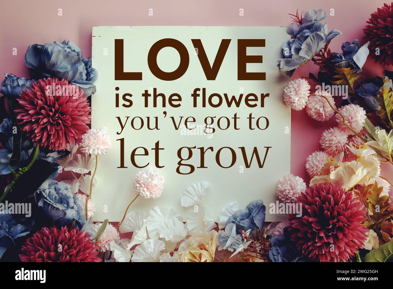 Love is the flower you've gotto let grow text message motivational and
