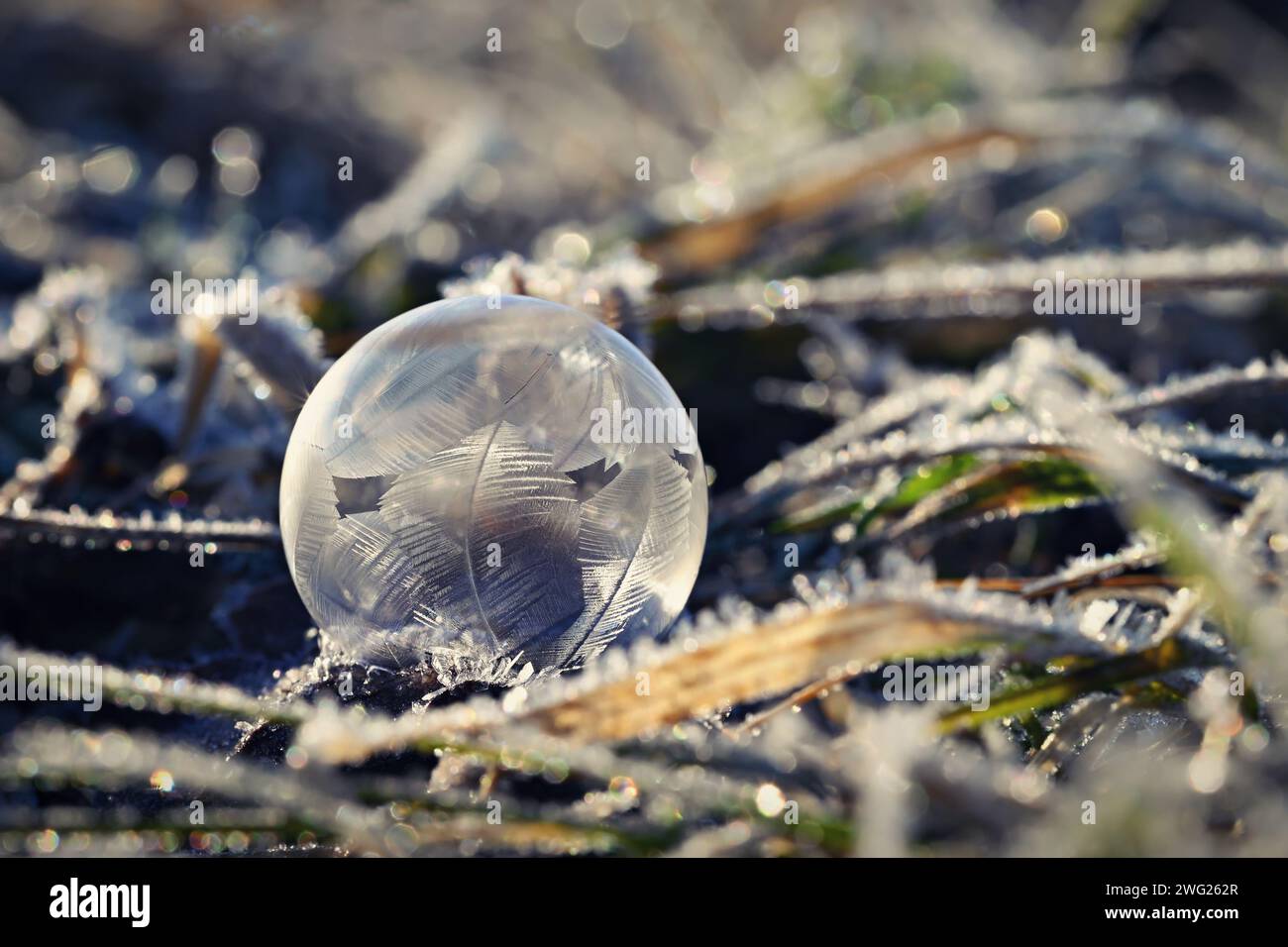 Frozen bubble in nature. A beautiful macro shot of nature in winter. Concept for environment, water and frost. Stock Photo