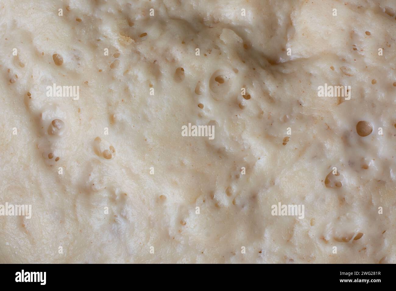 close-up macro view of rising dough surface, process of making bread, pastries or other baked goods, expansion of dough in volume, food background Stock Photo