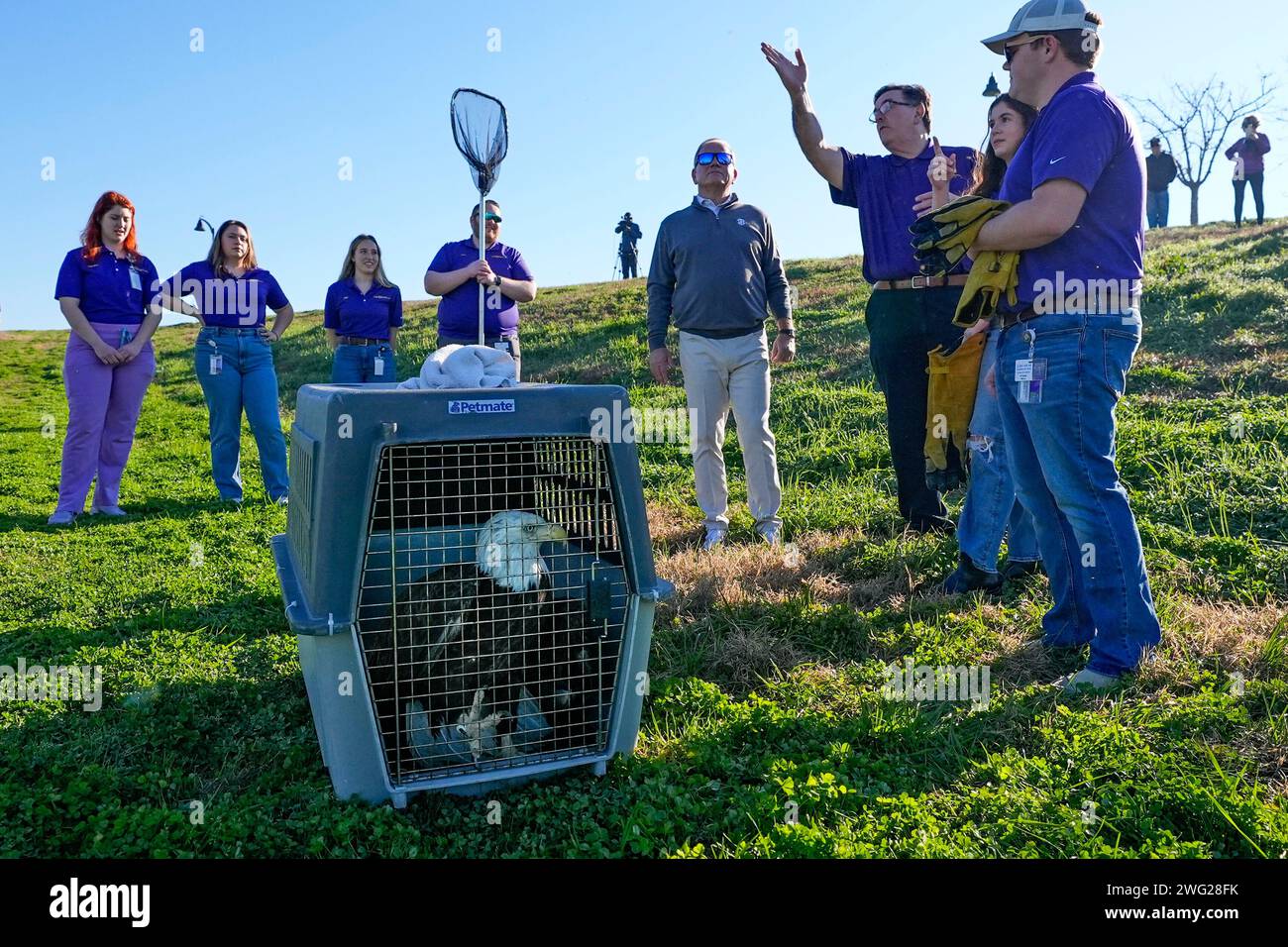 Dr. Mark Mitchell of the LSU School of Veterinary Medicine's Wildlife Hospital, points towards a