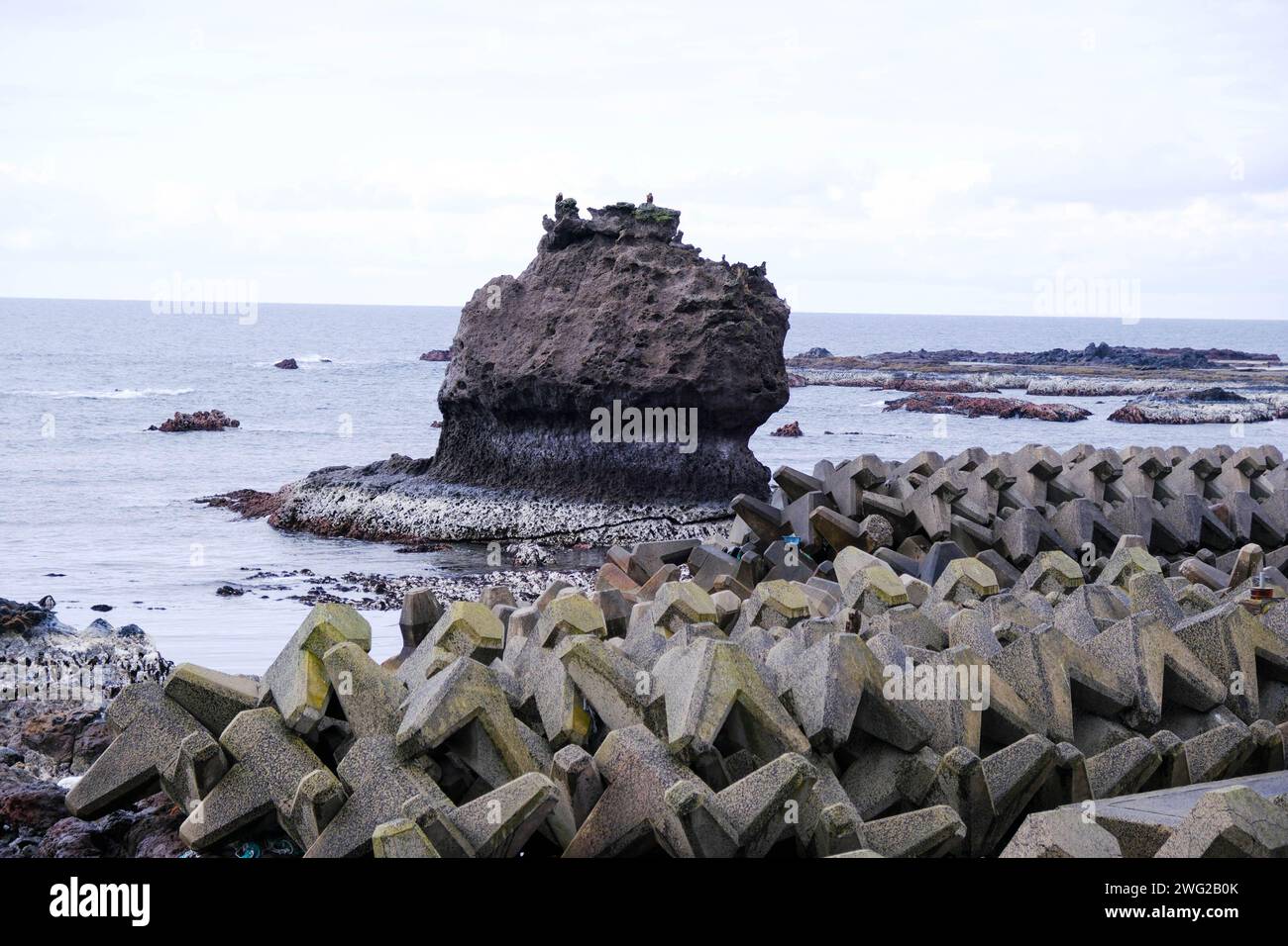 Japan earthquake uplift