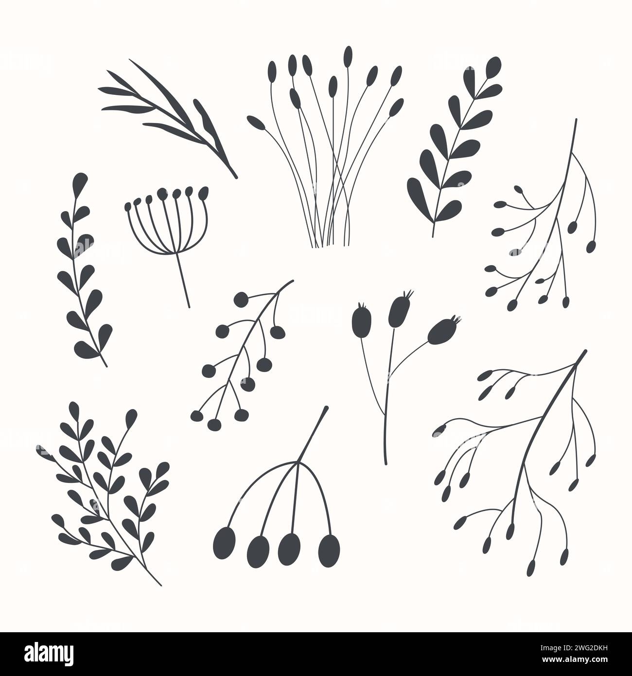Set of autumn herbarium. Different branches with berries and leaves. Wild forest plants. Vector collection of botanical design elements. Black line is Stock Vector