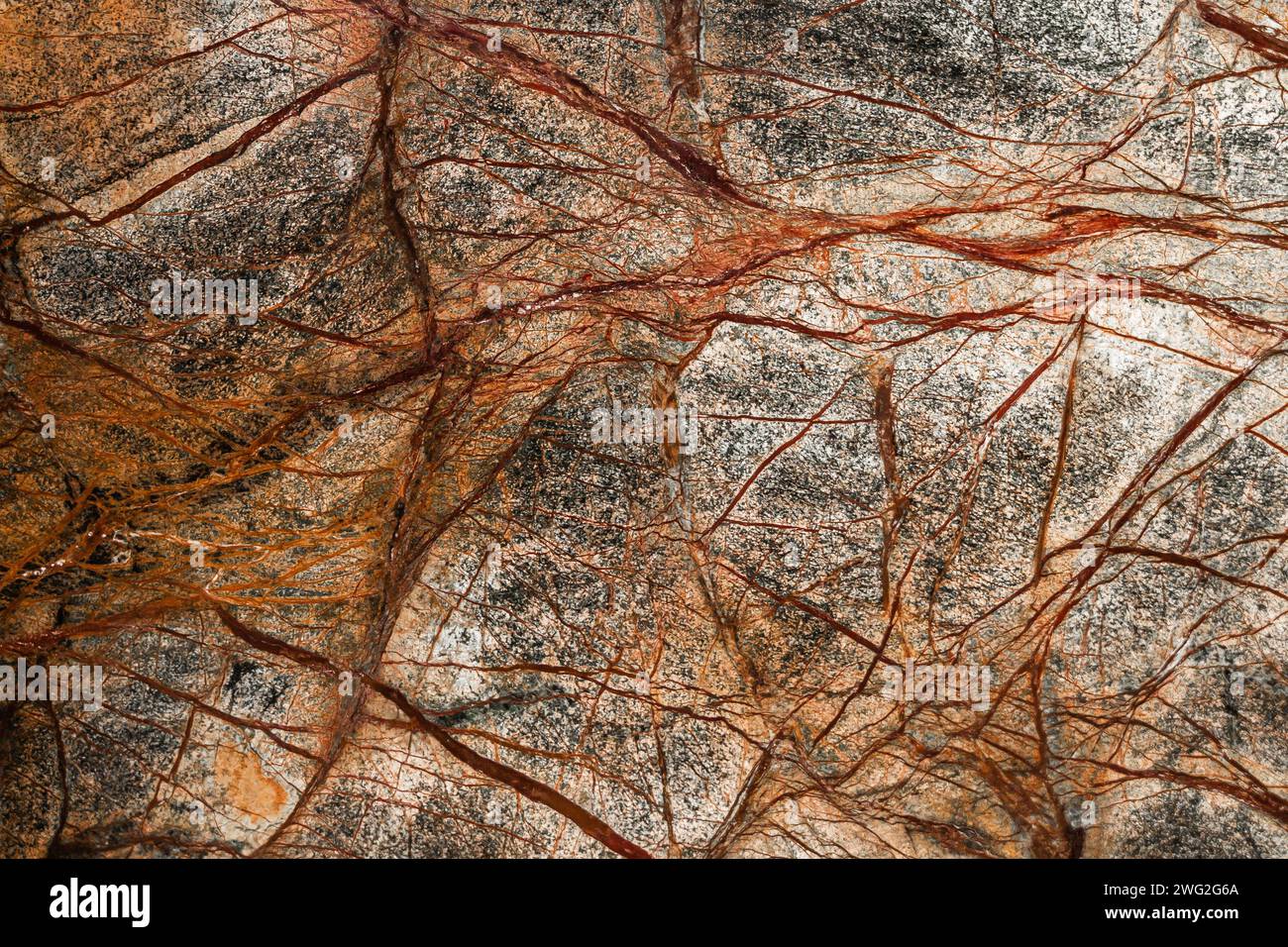 Collection of Different Types of Marble Natural Stone Textures and ...