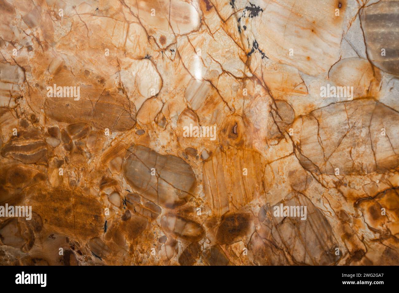 Natural Marble Expamples Collection of Different Types of Marble Natural Stone Textures and ...
