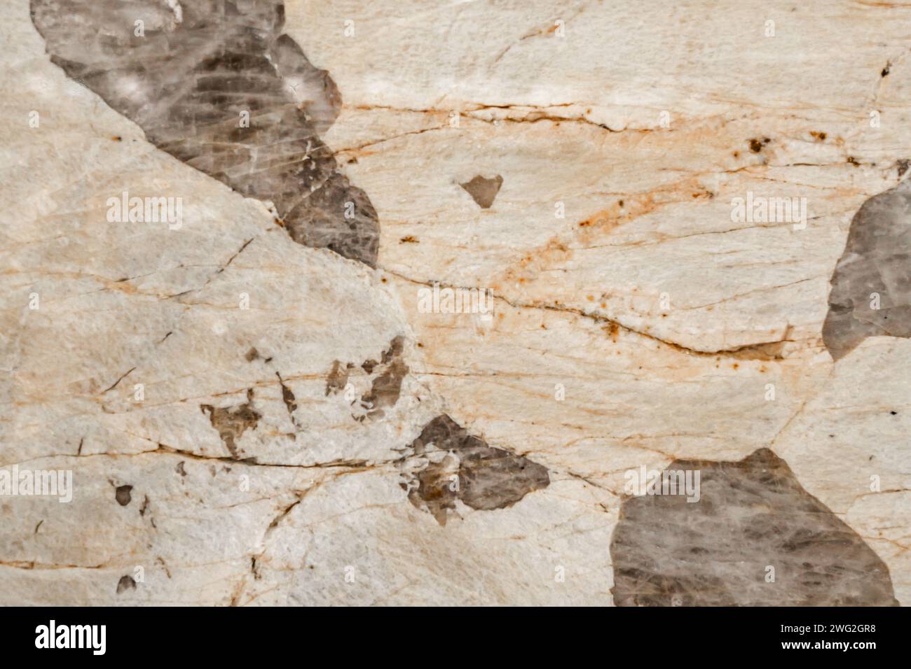 Collection of Different Types of Marble Natural Stone Textures and ...