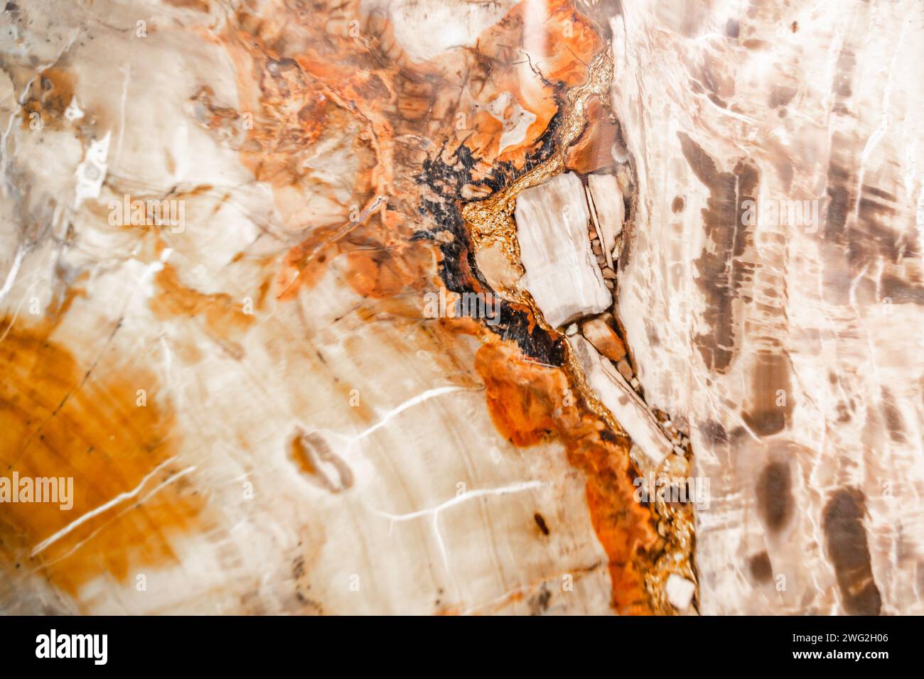 Collection of Different Types of Marble Natural Stone Textures and ...