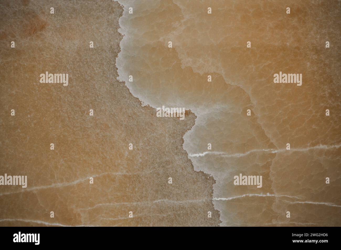Collection of Different Types of Marble Natural Stone Textures and ...
