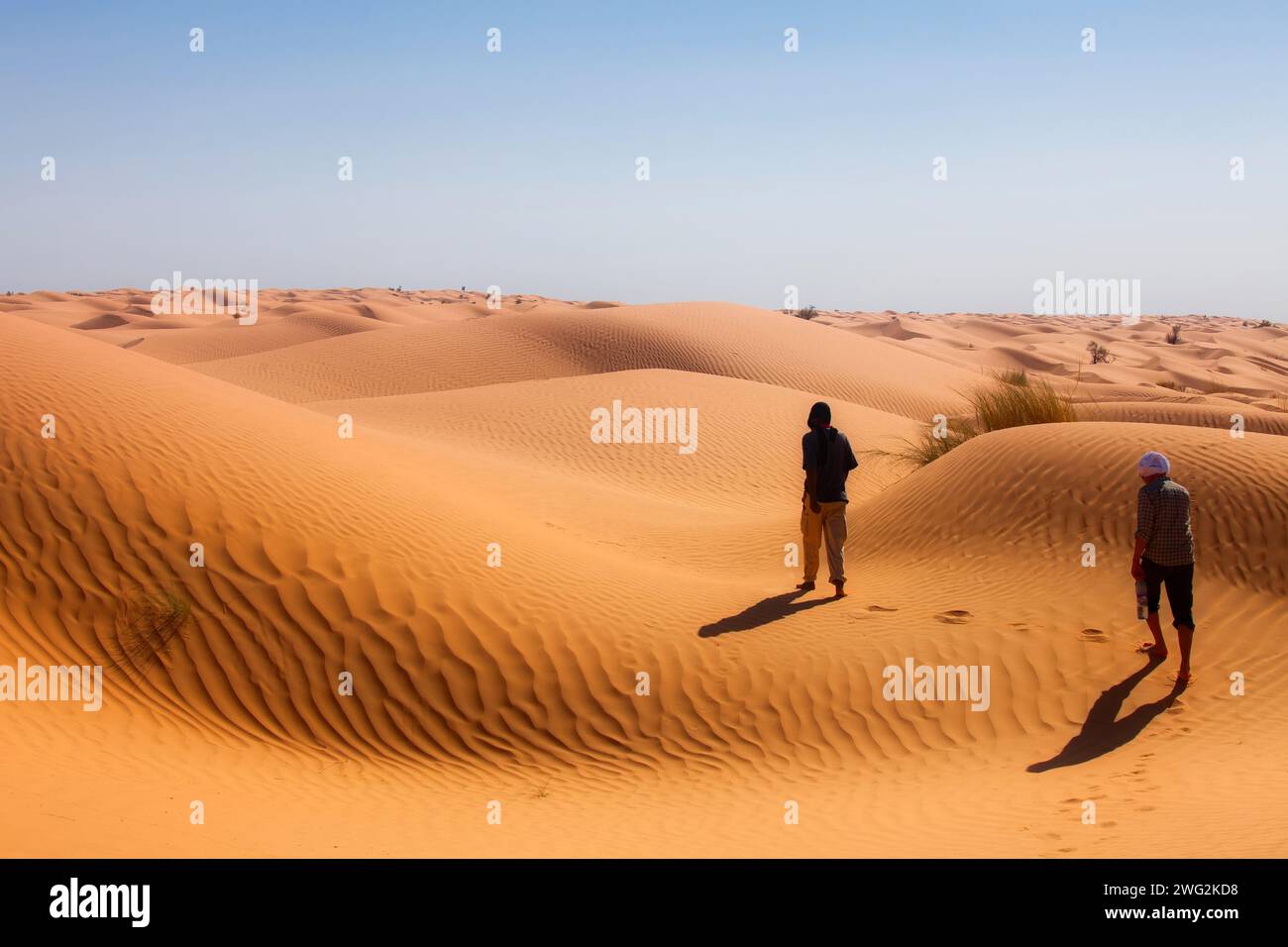 hiking man between dunes in the desert at bright sunlight Stock Photo