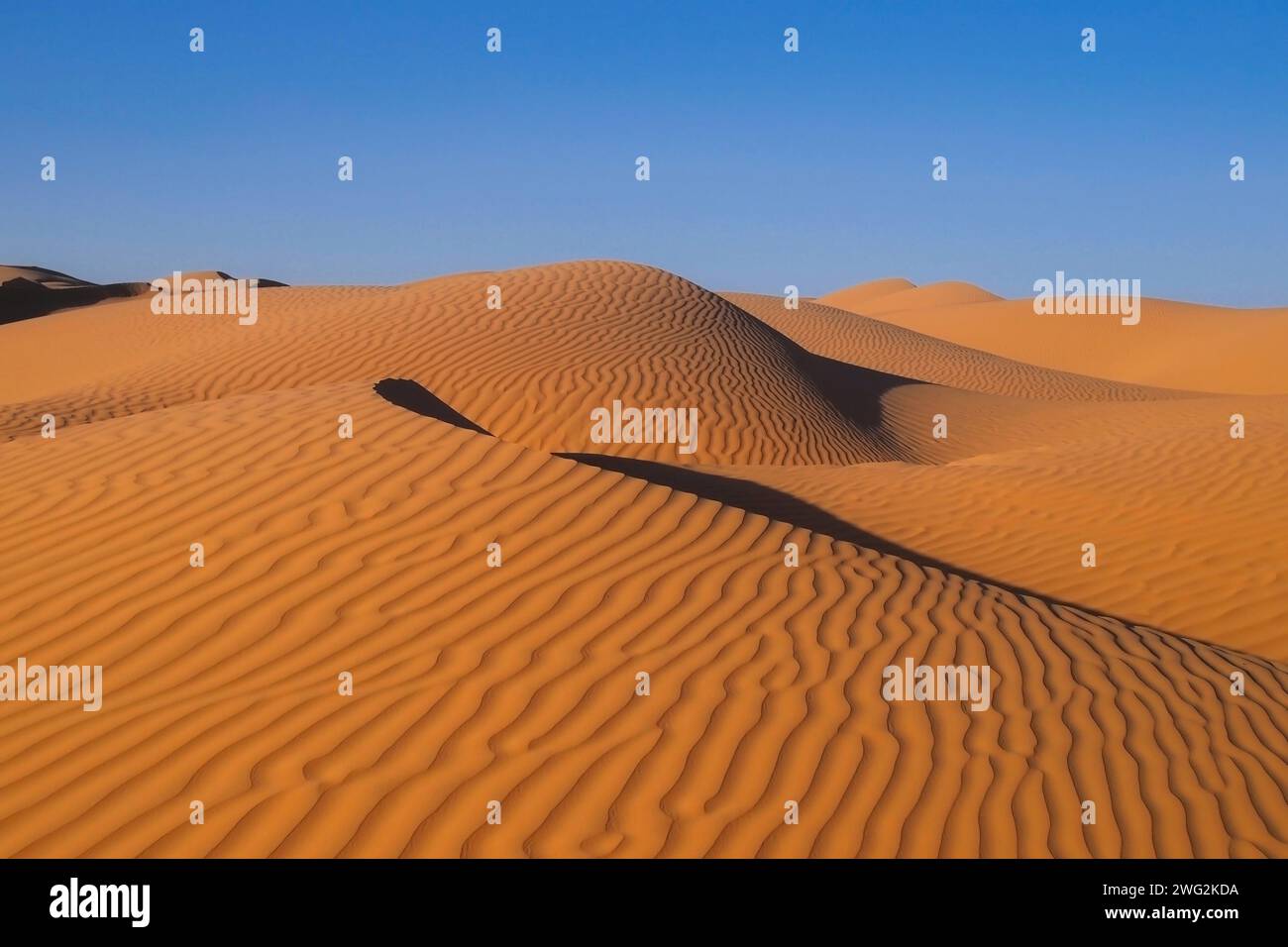 sand dunes with waves in the desert sahara at blue sky Stock Photo