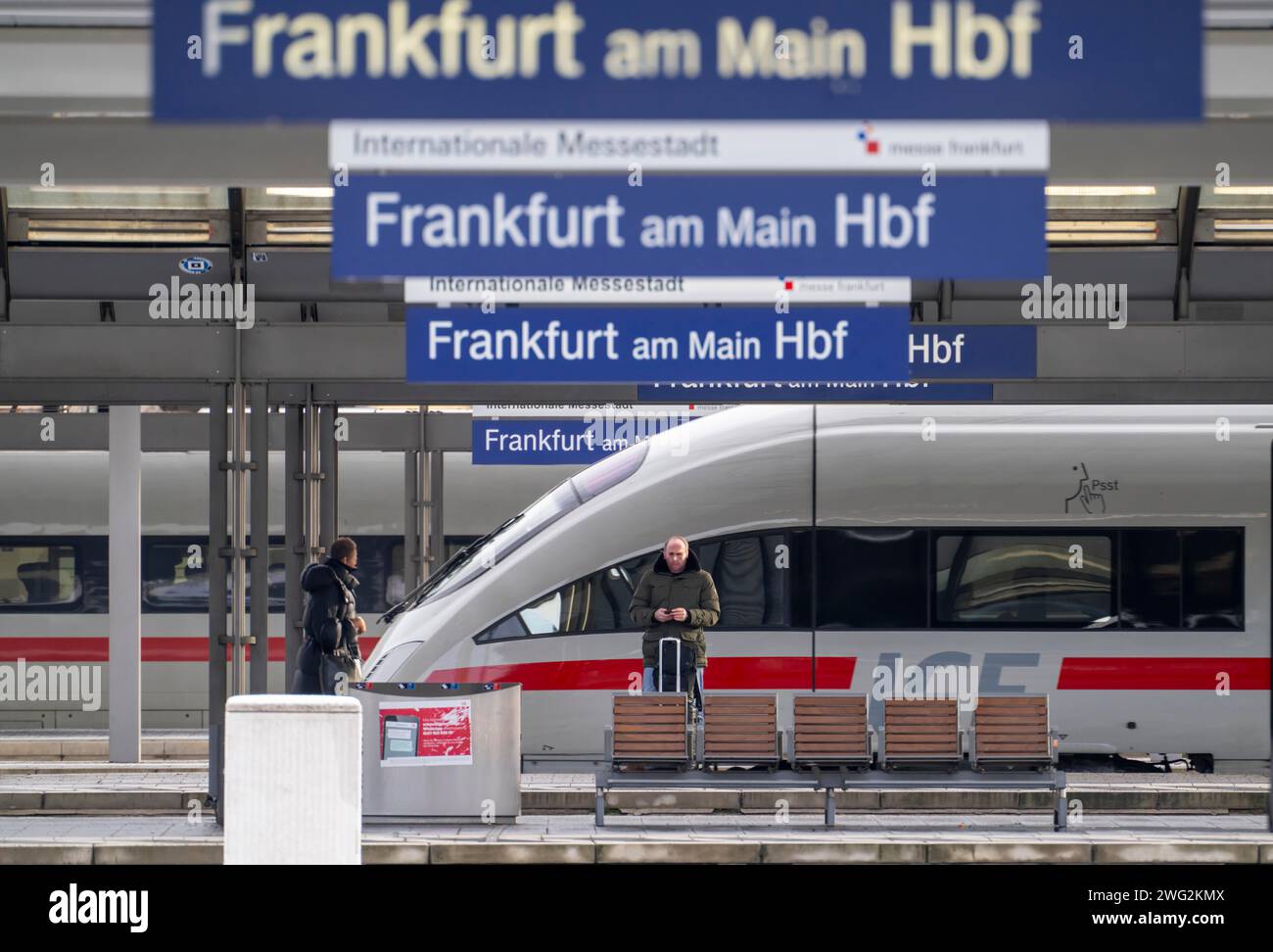 Frankfurt am Main main station, tracks, platforms, trains, Hesse, Germany, Stock Photo