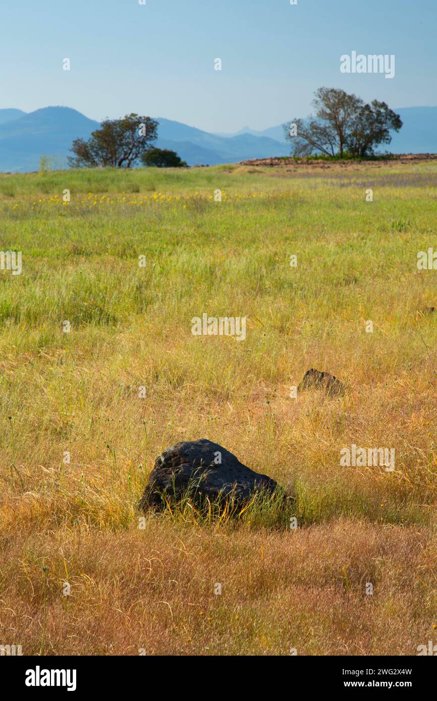 Grassland plateau, Upper Table Rock Preserve, Medford District Bureau of Land Management, Oregon