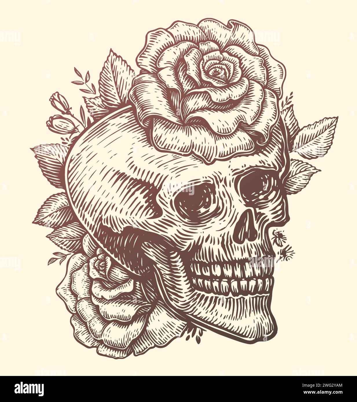 Skull and roses, flowers with leaves. Hand drawn vintage vector illustration Stock Vector