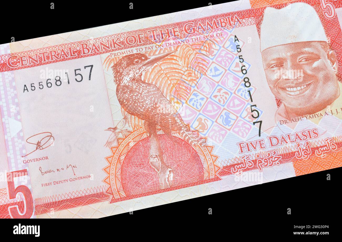 Obverse of 5 Dalasis banknote printed by Gambia, that shows Giant Kingfisher and President Sheikh Professor Alhaji Dr. Yahya Abdul-Aziz Jemus Junkung Stock Photo