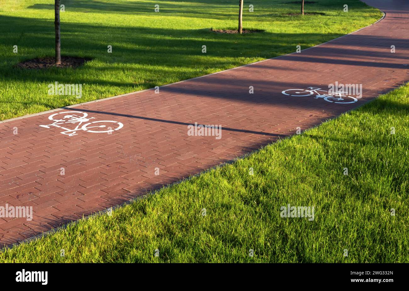 Bicycle path with bike signs on the road in the city park with green ...