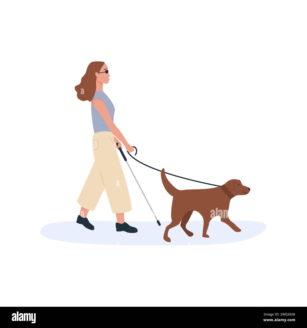 A guide dog with blind person walking together. Disabled female with cane stick using help of dog. Flat style characters. Vector illustration Stock Vector