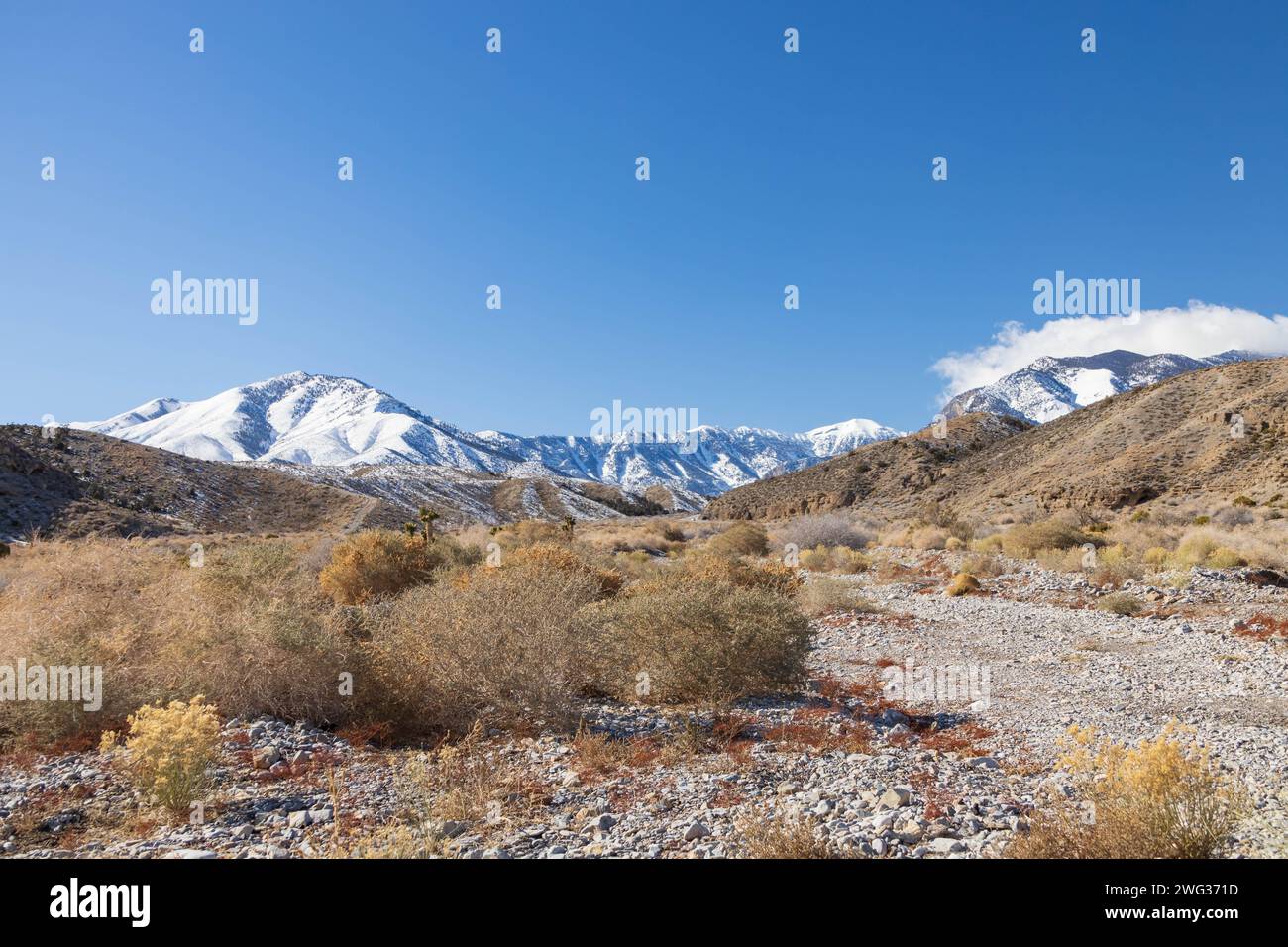 Mount Charleston Recreation Area, Nevada Stock Photo Alamy