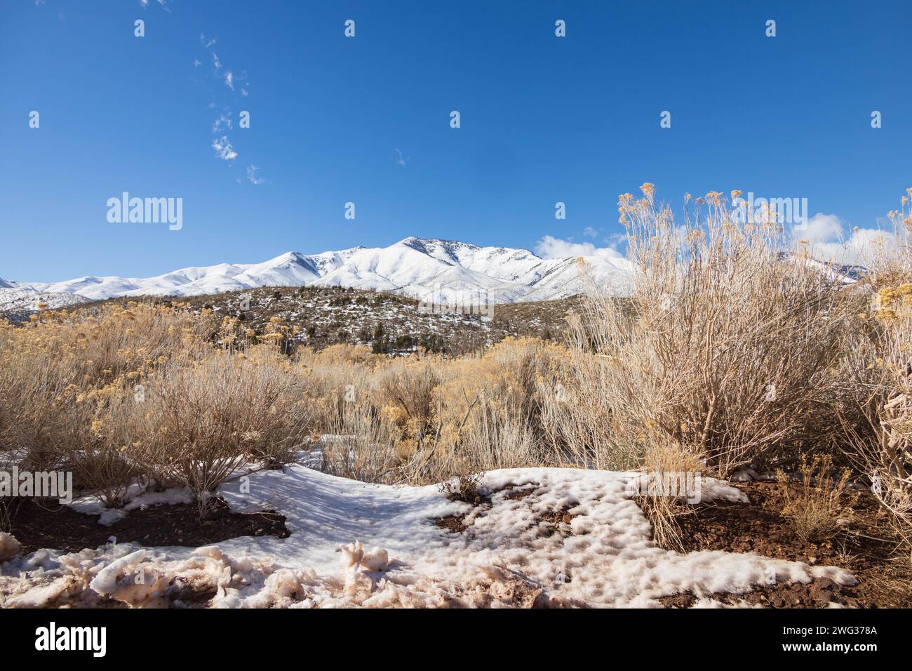 Mount Charleston Recreation Area, Nevada Stock Photo Alamy