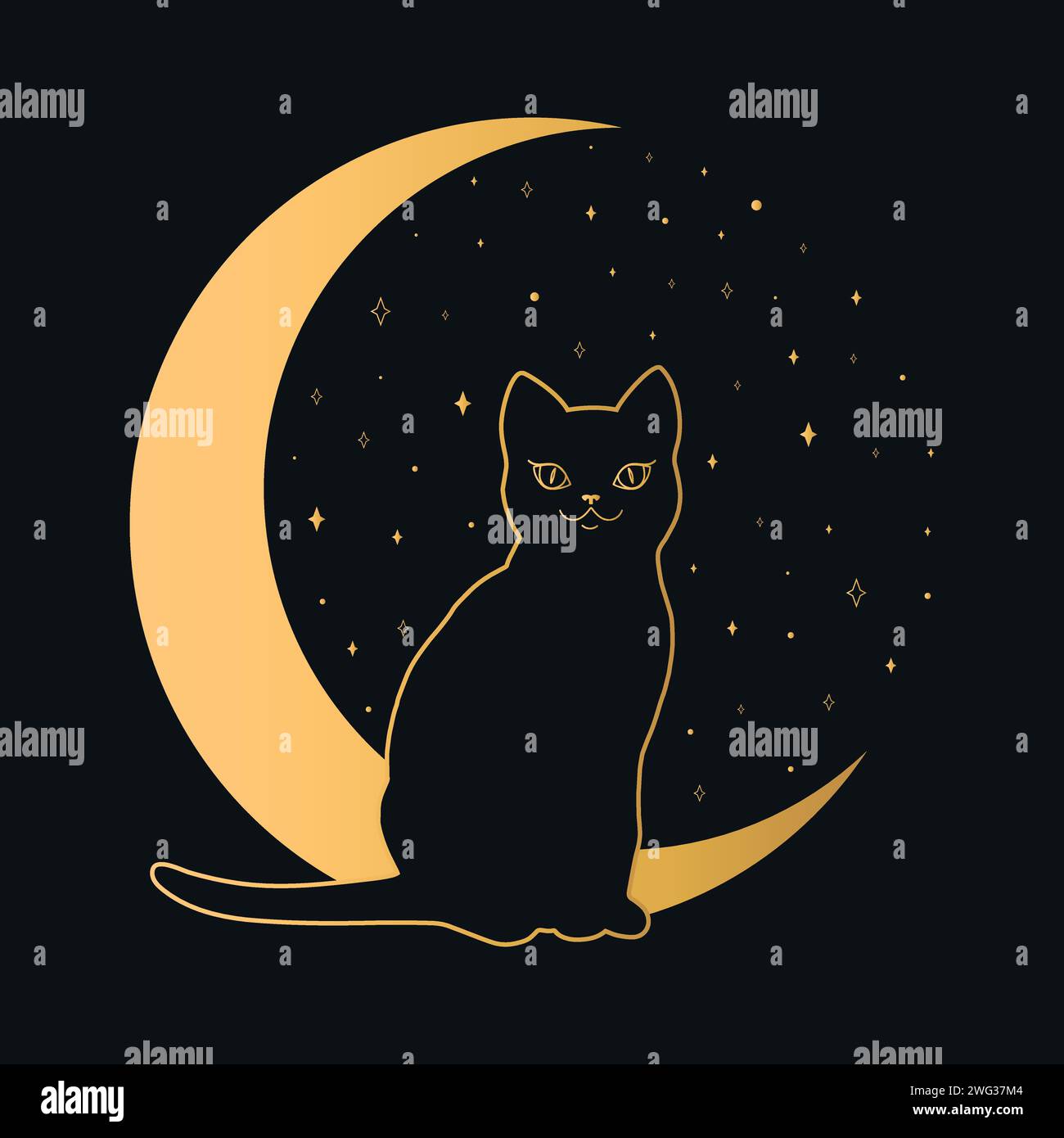 Black cat sitting on a crescent. Magic and sorcery background. Vector illustration Stock Vector