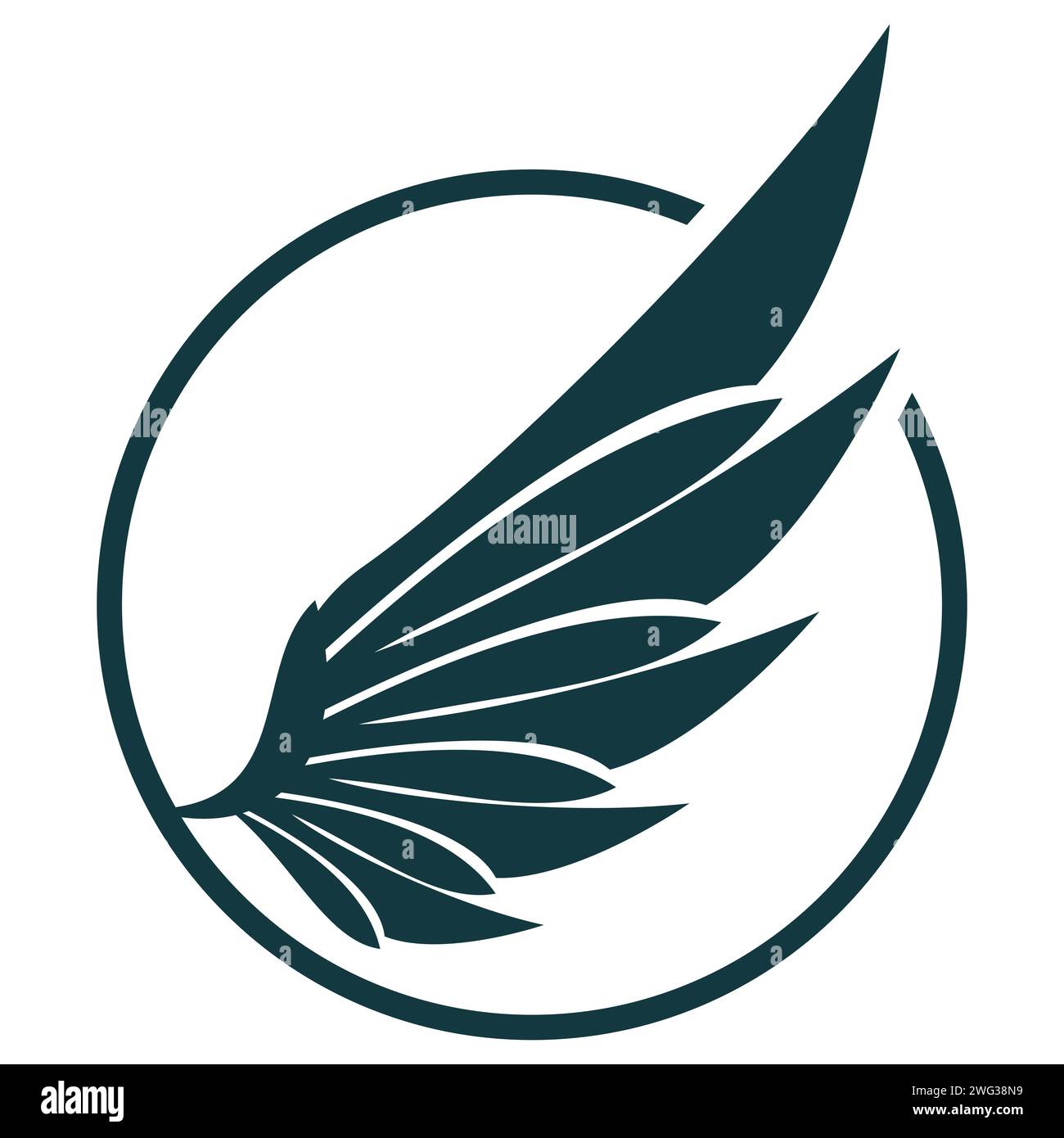 Eagle wings vector logo illustration Stock Vector Image & Art - Alamy