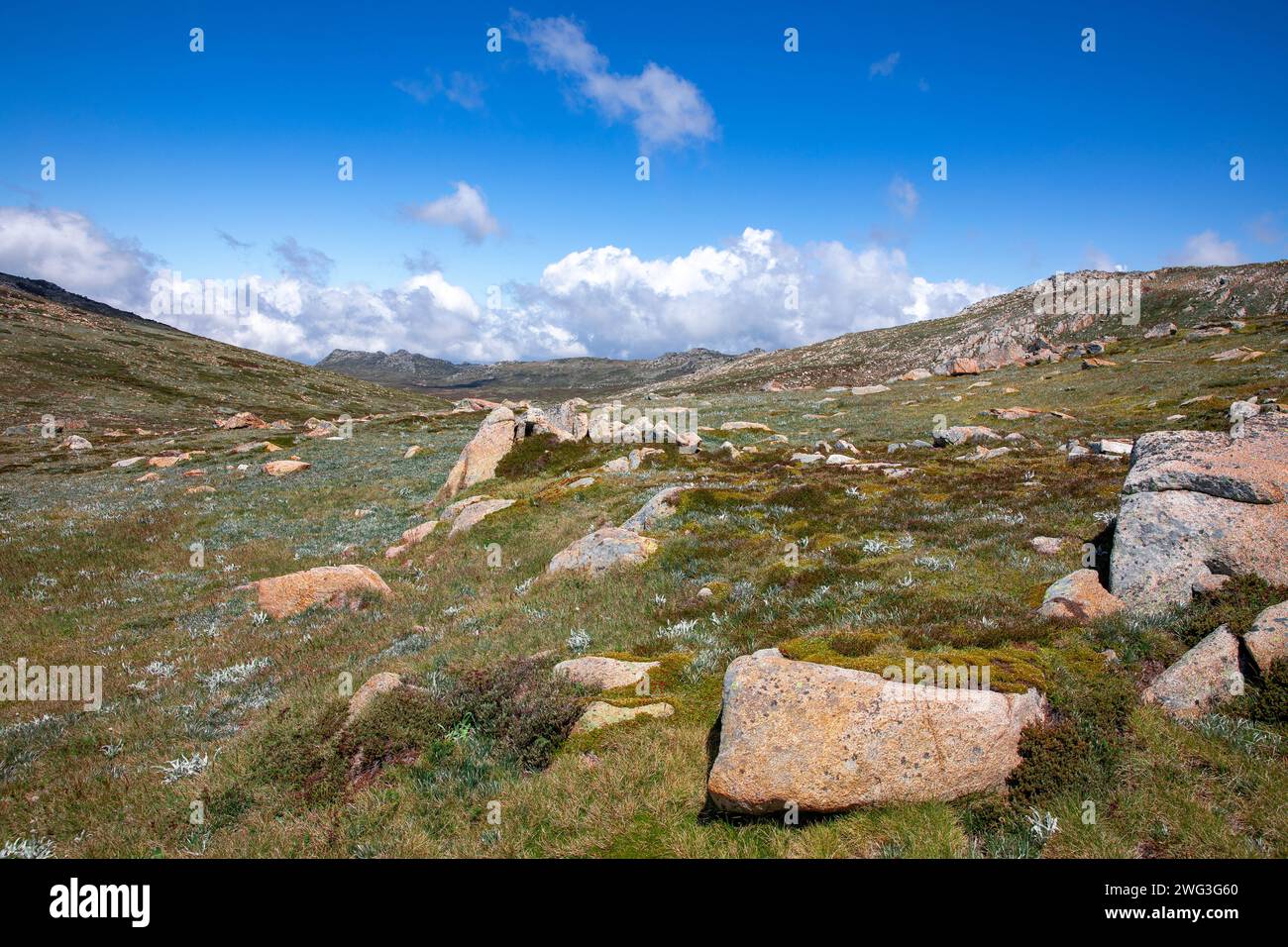 Australia, landscape of Kosciusko national park in New South Wales ...