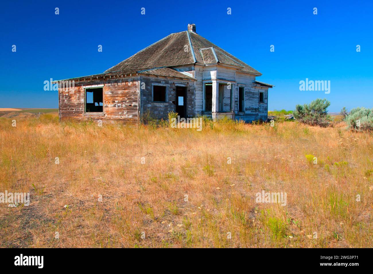 Abandoned homestead, Gilliam County, Oregon Stock Photo Alamy